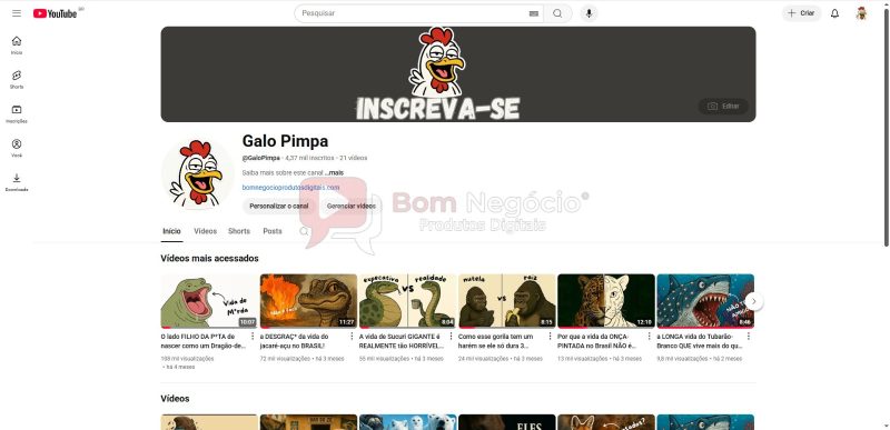 CANAL DO YOUTUBE DE 4K MONETIZADO - ANIMAIS (COD-346)