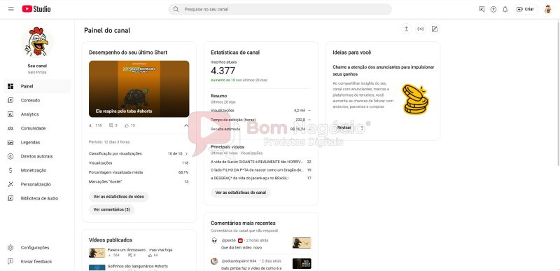 CANAL DO YOUTUBE DE 4K MONETIZADO - ANIMAIS (COD-346) - Imagem 2