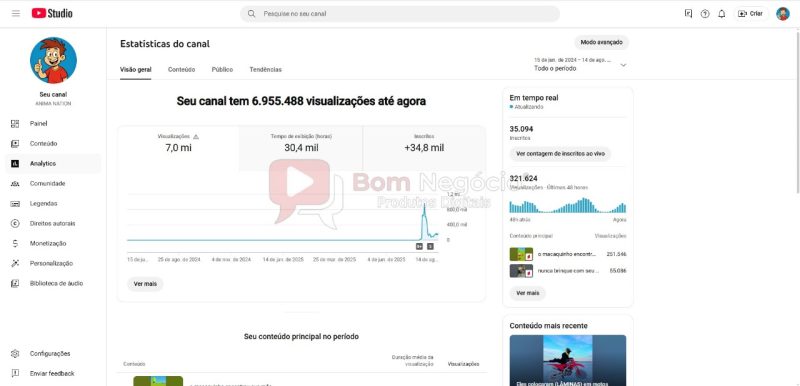 CANAL DO YOUTUBE DE 35K NÃO MONETIZADO - ENTRETENIMENTO (COD-353) - Imagem 3