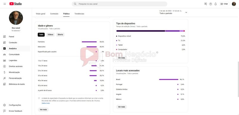 CANAL DO YOUTUBE DE 33K NÃO MONETIZADO - CURIOSIDADES (COD-379) - Imagem 4