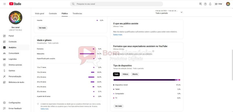 CANAL DO YOUTUBE DE 6K NÃO MONETIZADO - ANIMAIS (COD-392) - Imagem 4