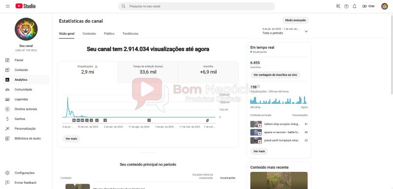 CANAL DO YOUTUBE DE 6K NÃO MONETIZADO - ANIMAIS (COD-392) - Imagem 3