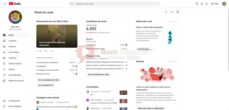 CANAL DO YOUTUBE DE 6K NÃO MONETIZADO - ANIMAIS (COD-392) - Imagem 2