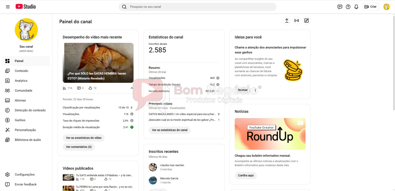 CANAL DO YOUTUBE DE 2K MONETIZADO - ANIMAIS (COD-427) - Imagem 2