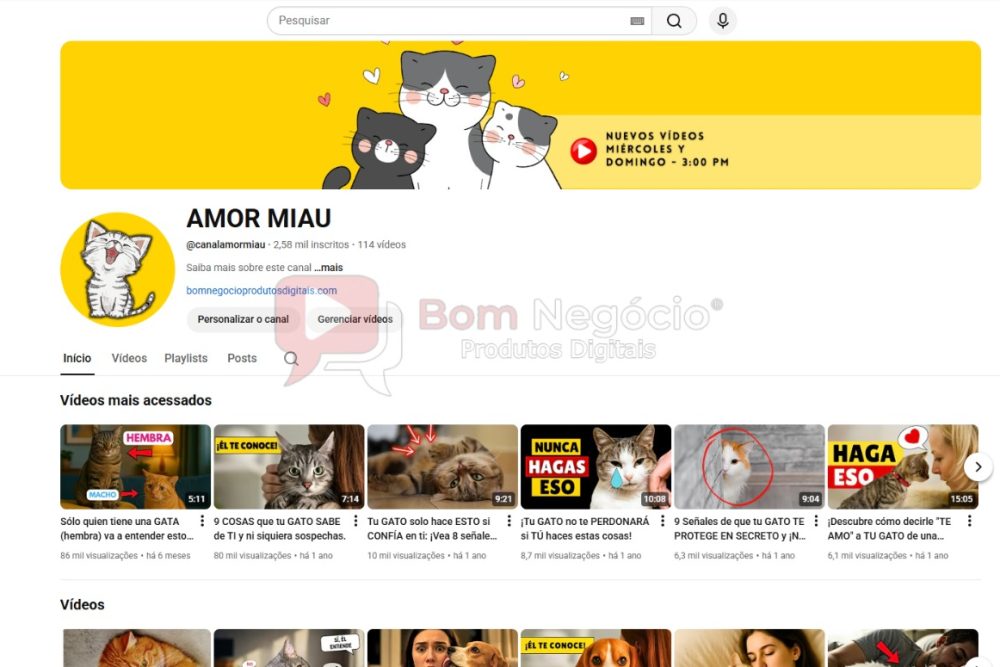 CANAL DO YOUTUBE DE 2K MONETIZADO - ANIMAIS (COD-427)