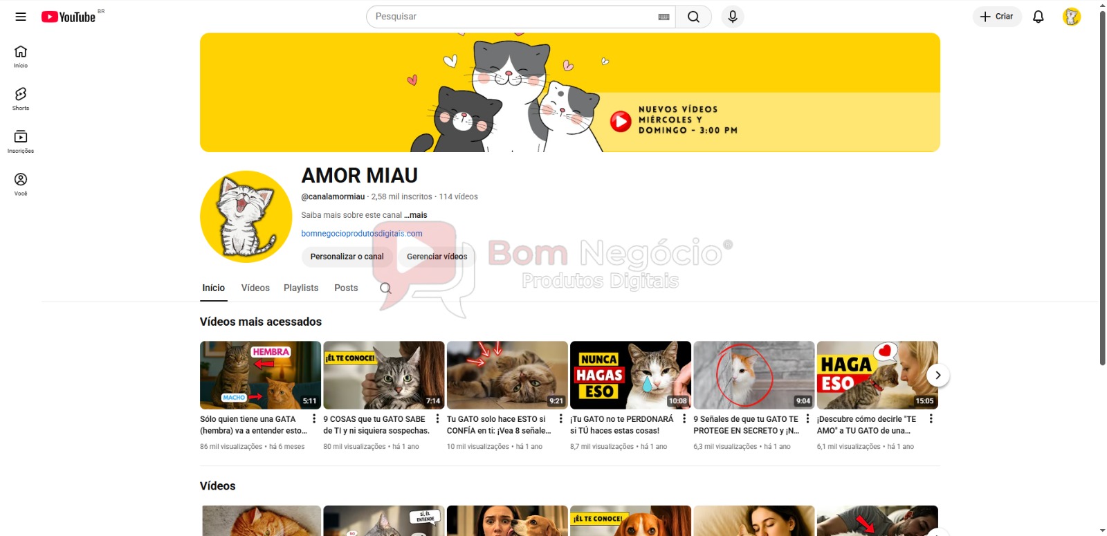 CANAL DO YOUTUBE DE 2K MONETIZADO - ANIMAIS (COD-427)