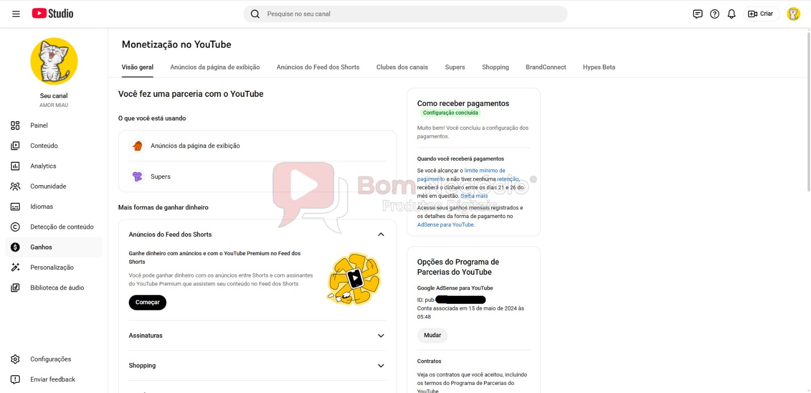 CANAL DO YOUTUBE DE 2K MONETIZADO - ANIMAIS (COD-427) - Imagem 4