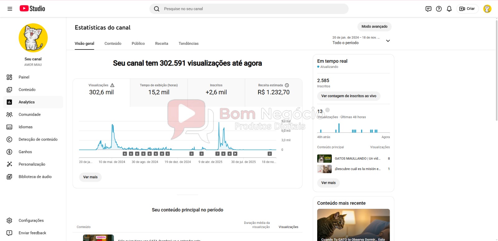 CANAL DO YOUTUBE DE 2K MONETIZADO - ANIMAIS (COD-427) - Imagem 3