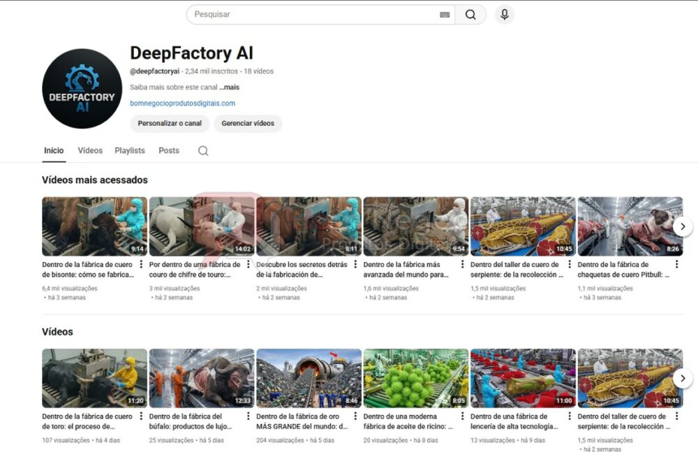 CANAL DO YOUTUBE DE 2K MONETIZADO - CURIOSIDADES (COD-507)