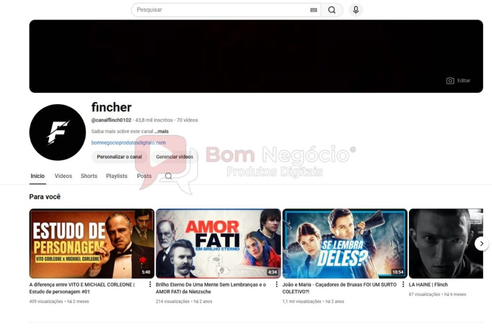 CANAL DO YOUTUBE DE 43K MONETIZADO - ENTRETENIMENTO (COD-532)